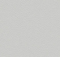 Линолеум Forbo SafeStep Aqua 180262 trout фото 1 | FLOORDEALER